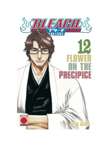 Bleach Bestseller – Tome 12