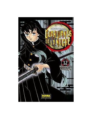Guardianes de la Noche 12 – Segunda Mano
