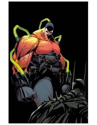 Absolute Batman – Volume 9