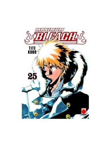 Bleach Maximum – Tome 25