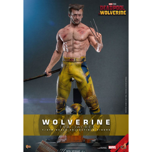 HotToys MMS756 Deadpool & Wolverine Figurine 1/6 Wolverine (TVA Jacket Version) 31 cm