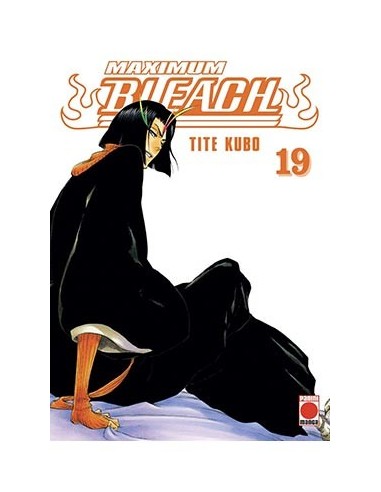 Bleach Maximum – Tome 19