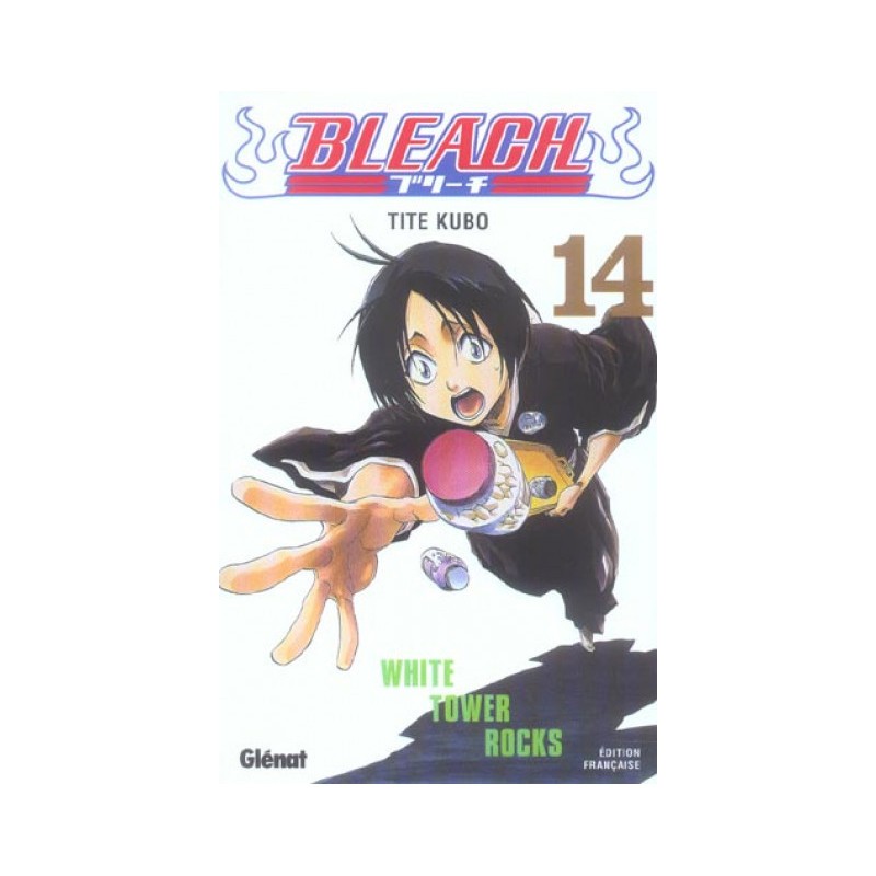 Bleach Tome 14 - White Tower Rocks