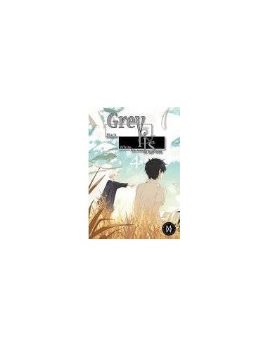 Grey Is – Tome 4