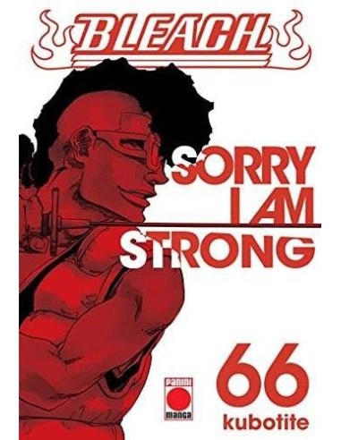 Bleach – Volume 66