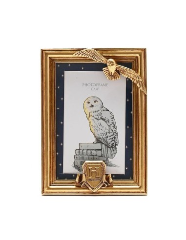 Harry Potter Marco de Fotos Dorado Hedwig