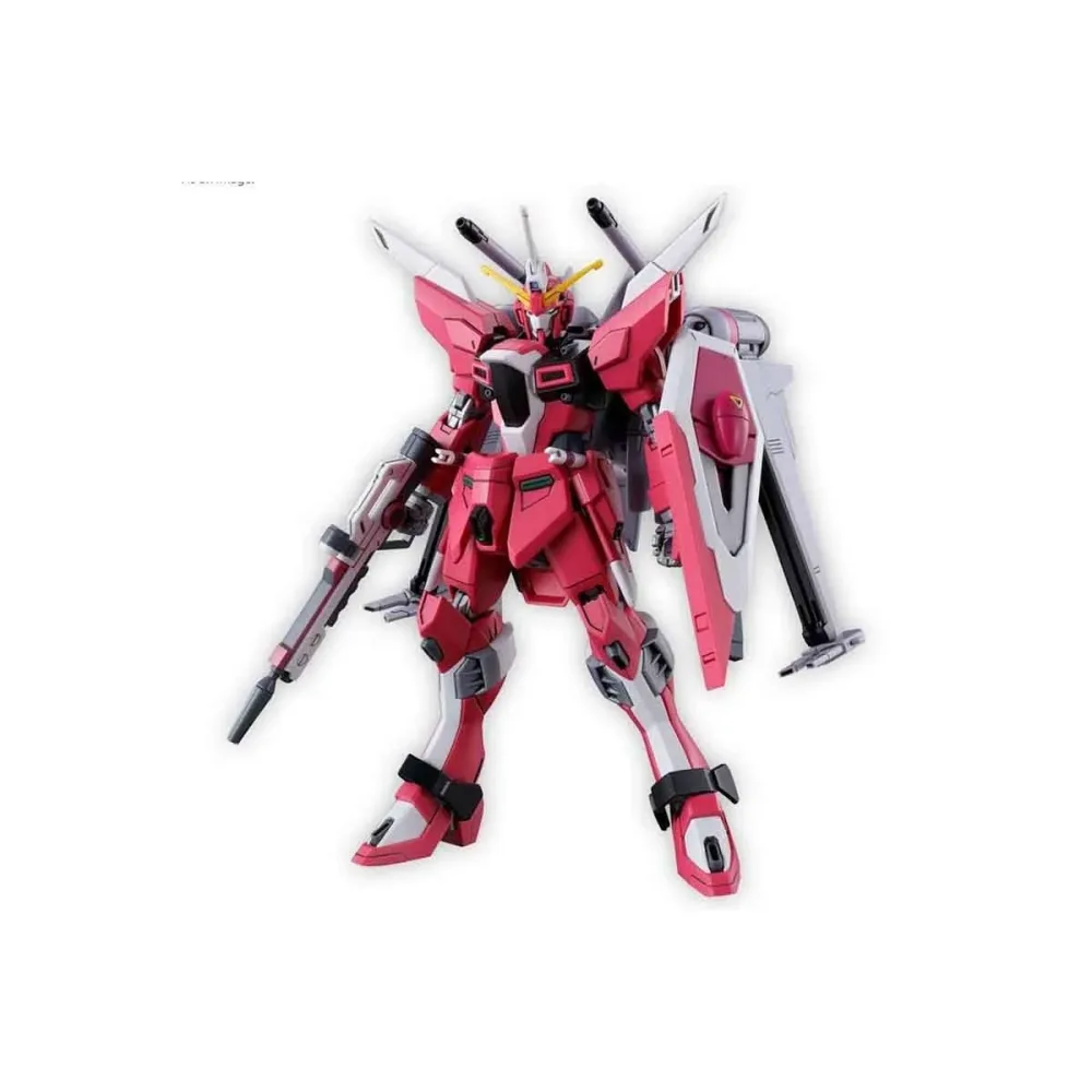 Gundam Infinite Justice Type 2 HG