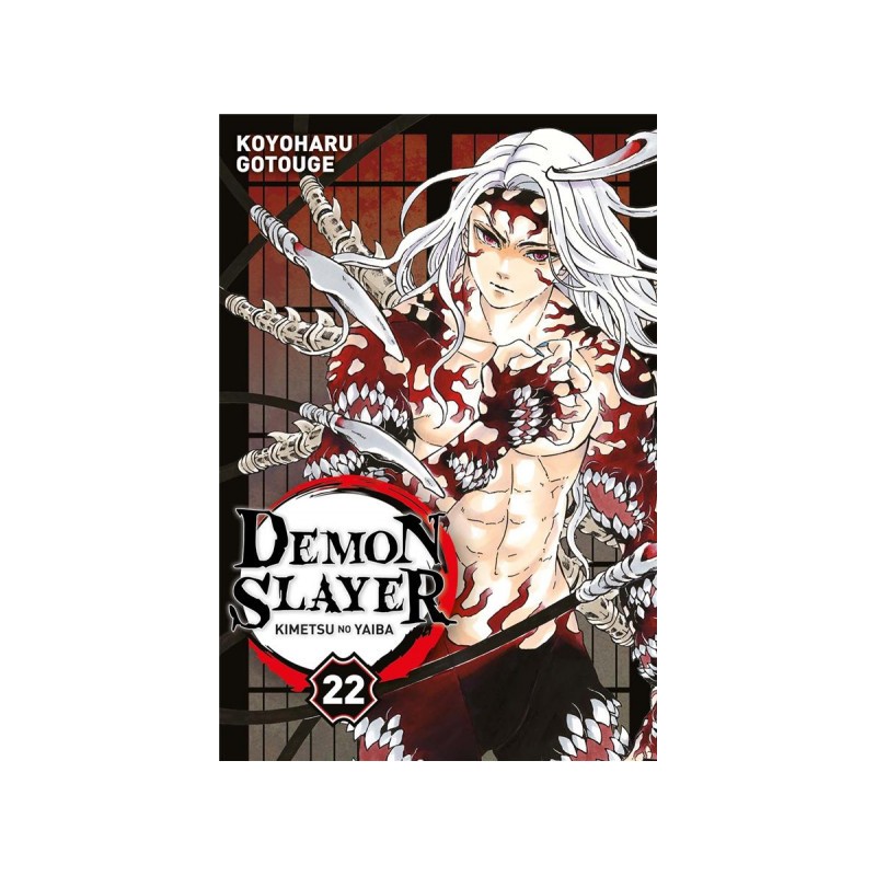 Demon Slayer Tome 22