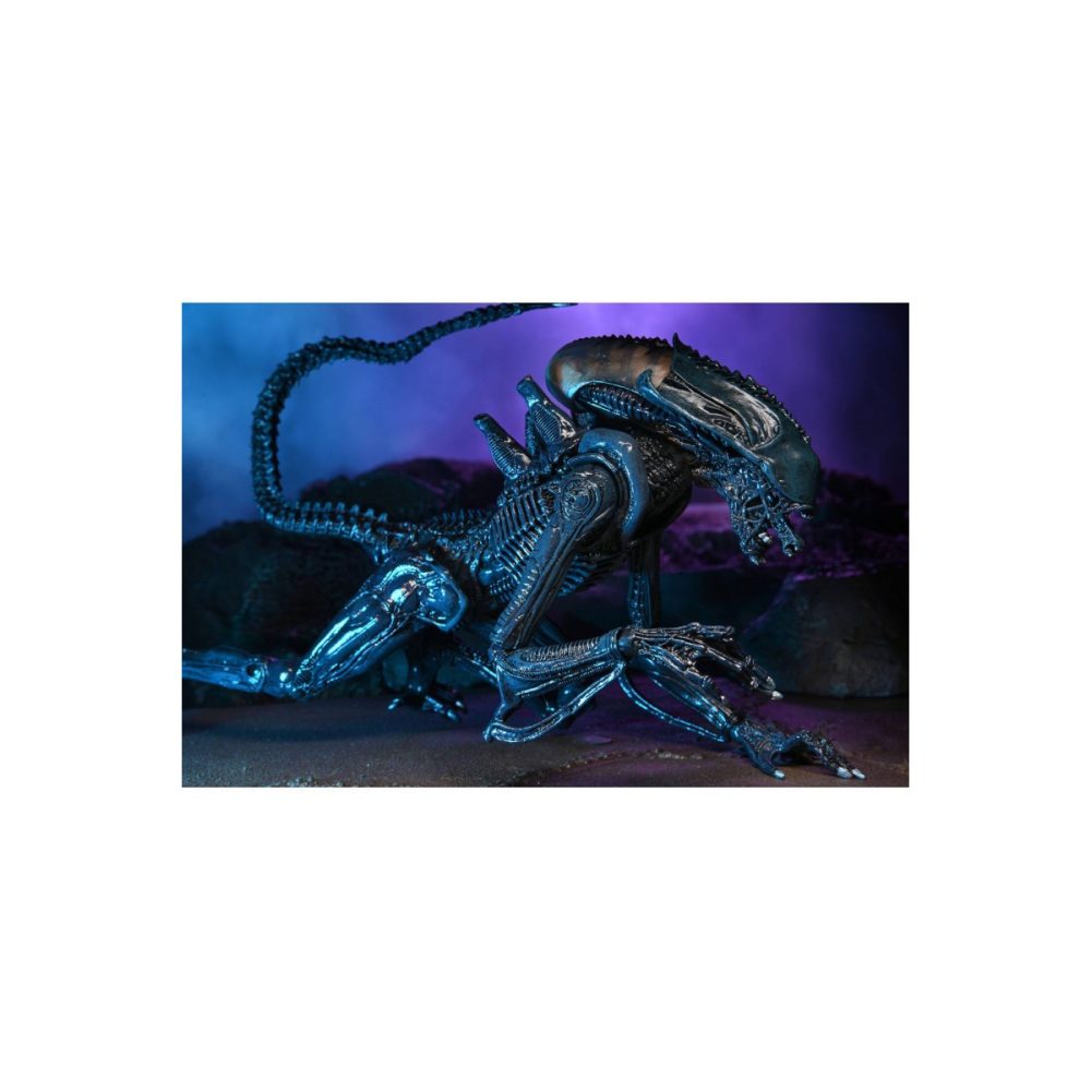 Alien VS Predator - Arachnoid Alien Neca