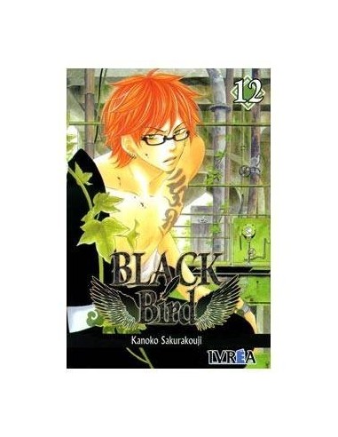Black Bird – Volume 12