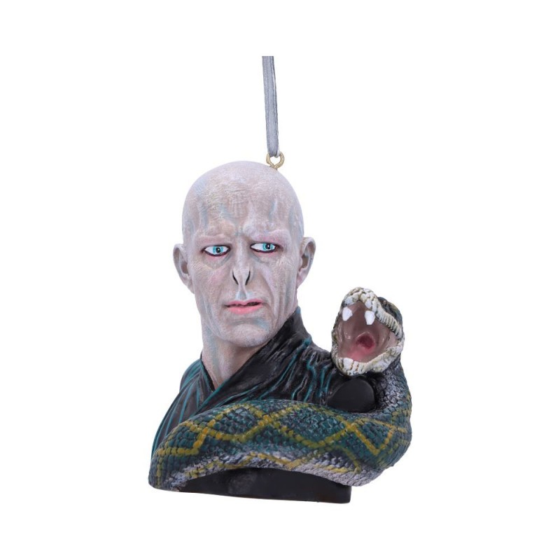 Harry potter lord voldemort hanging orna