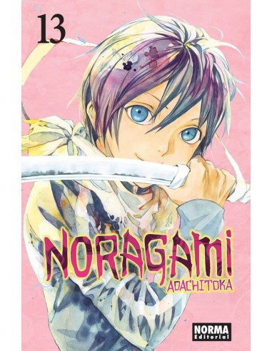 Noragami – Tome 13