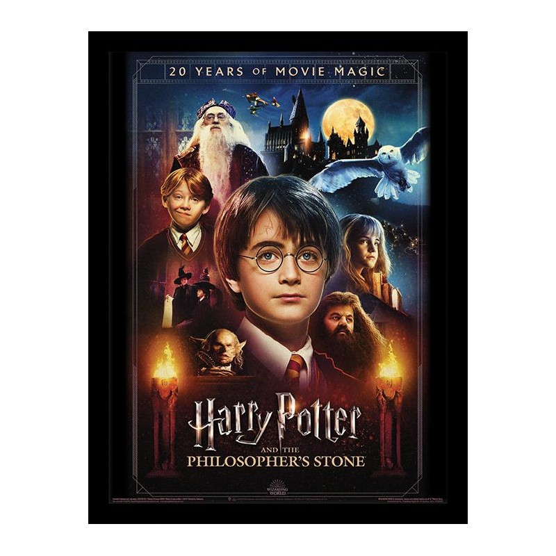 HARRY POTTER - 20 Years Of Movie Magic - Impression encadrée 30x40cm