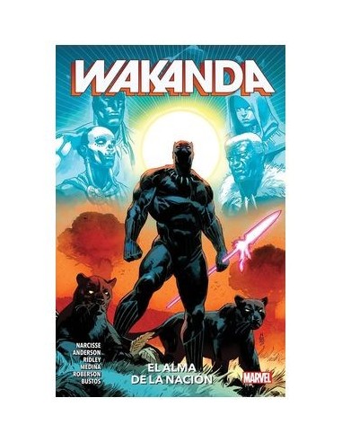 Wakanda, el Alma de la Nacion
