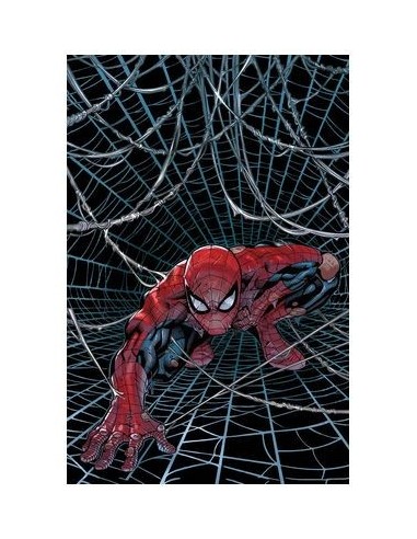 El Asombroso Spiderman – Volume 19