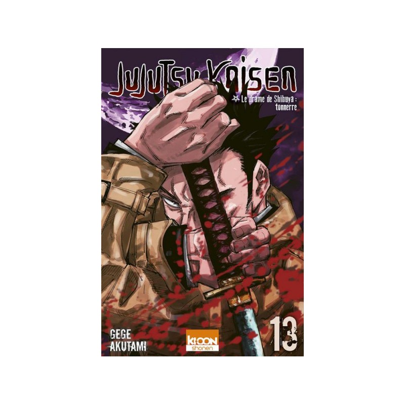 Jujutsu Kaisen Tome 13