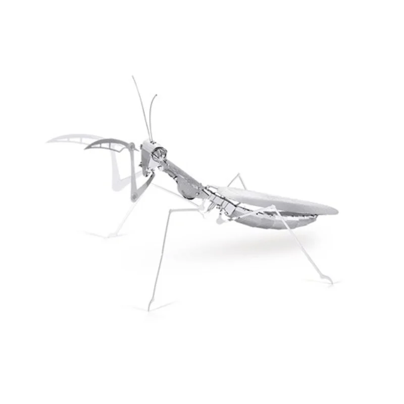 Maquette Insectes: MANTE