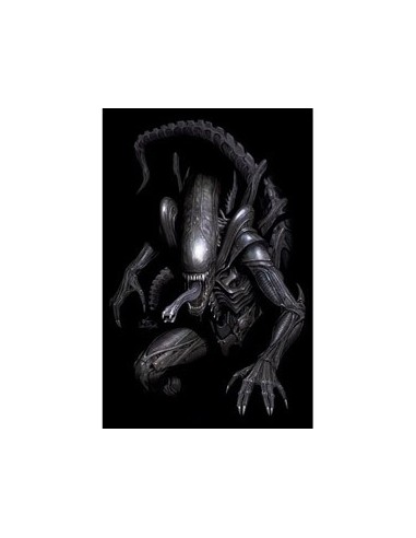 Alien N – Tome 1